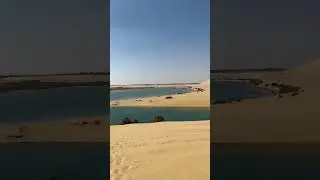 incredible Egypt | wadi El hitan | #shorts #travel #egypt