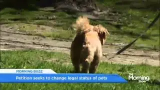 Legal status for pets?