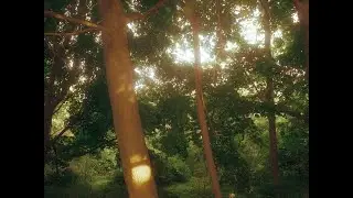 다 집어치우고 싶을 때 듣는 음악 | House Playlist