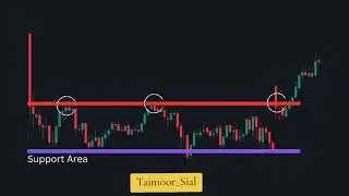 Crypto Trading - Support and Resistance How It Works Exactly - Beginners Guide