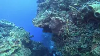 COZ 4JUL2025 Santa Rosa Wall Diving