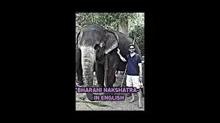 Бхарани 🐘Накшатра (с мифологией) в астрологии