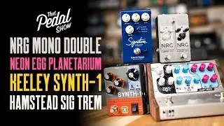 Neon Egg Planetarium, Keeley Synth-1, NRG Mono Double, Hamstead Trem MkII [TPS Pedal Jams]