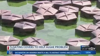 KNWA News Floating 