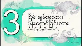 အိမ်မှာနေရတာကို ကြိုက်တဲ့သူတွေရဲ့ စိတ်ပညာ