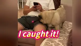 Fails Funny😄｜I caught it!｜The female Sadio Man&eacute;!#trynottolaugh#prank#memes#laugh#comedy#humor#funny