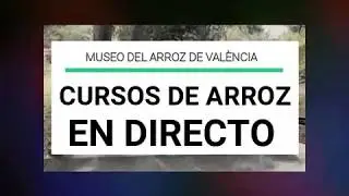 ARROZ CON BACALAO Y COLIFLOR - Cursos de Arroz en Directo  *Museo del Arroz de València*