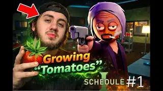 Your local tomato dealer | Schedule I #1