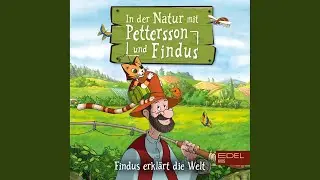 In der Natur mit Pettersson und Findus - Teil 45