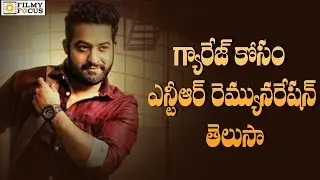 NTR Shocking Remuneration for Janatha Garage - Filmyfocus.Com