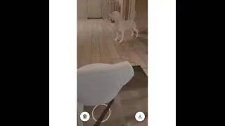 Shopin AR Demo - Augmented Reality Based E-commerce App