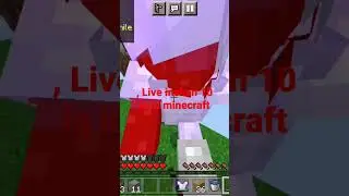 live inshan 10 iq profestional kill in minecraft