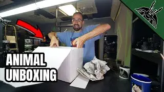 UNBOXING VIDEO after a looooong time