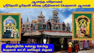 ஆனந்த விநாயகர் | ஸ்ரீதேவி பூதேவி சமேத ஸ்ரீநிவாசப் பெருமாள் Ananda Vinayagar  Srinivasa Perumal