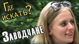Заводчане - Где искать? (Официальный видеоклип 2021)