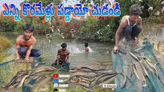 మేము ఎన్ని చేపలు పట్టమో చుడండి#fishing #fish #dryfish #villagevlog #koramenu #hunting #prawnshunting