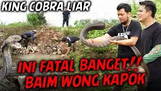 RESCUE KING COBRA GANAS LIAR DI AIR⁉️BAIM WONG SAMPE KAPOK IKUT PANJI
