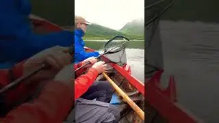 Norwegian salmon on the hook! Action all the way 🎣 #salmon #fishing #bigfish