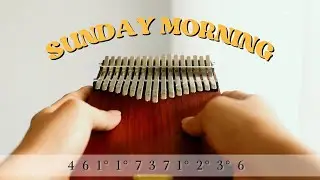 Sunday Morning by Maroon 5  Kalimba Cover with Easy Tabs