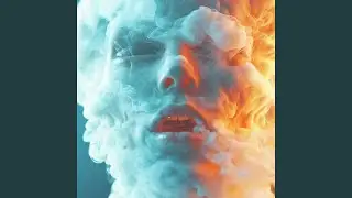 Doctor Quantum Swallow