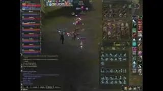 Lineage2 - 1 party fusion vs 2 parties [Hindemith] (Ambersky)