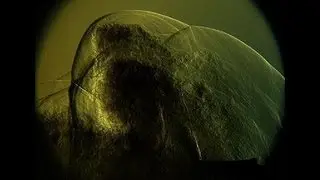 Aimed Research - Rent A High Speed Slow Motion Camera - Rental Lease For Sale