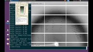 X-ray crystal structure solve - 02 integrate data