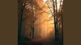 Autumn maple forest