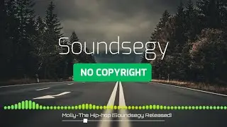 Molly-The Hip-hop (Dramatic/Smooth/Bass No Copyright Music Hip-hop [Soundsegy Released]