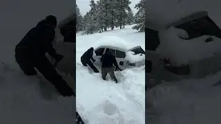 #snowrescue #mountains #dog #fyp