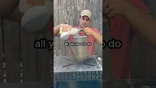 How to apply fish emulsion fertilizer #shorts