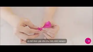 Giới thiệu Cốc nguyệt san ch&iacute;nh h&atilde;ng Lily Cup - Intimina Thụy Điển