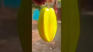 Spicy Star Fruit Masala🌶️⭐.Street Style Kamranga Makha TTTT Taste! #shorts #trending #starfruits