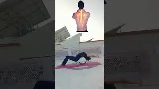 Reduce stiffness from ur back through yoga wheel 🛞 #youtubeshorts #propyoga #backmobility #backpain