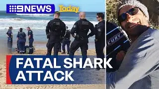 Sydney's beaches on alert after surfer was killed in shark attack | 9 News Australia