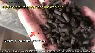 Chicken manure straw compost columnar organic fertilizer pellet making machine #organicfertilizer