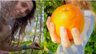 HUGE February Harvest!!! Late Winter Harvest in Florida Garden