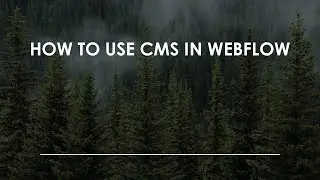 Как использовать CMS в Webflow