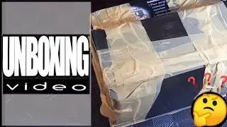 Tarantula UNBOXING! Philippine dwarf tarantula (Phlogiellus baeri)