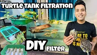 Turtle Tank Filter | Filter DIY | Aquarium Filter DIY | Turtle Tank Filtration | Top Filter DIY