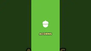 10 Years Invested in Acorns #investing #acorns