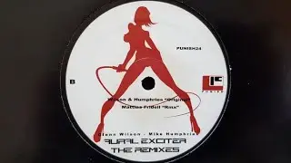 PUNISH 24 - AURAL EXCITER The Remixes side B1: WILSON & HUNPHRIES original