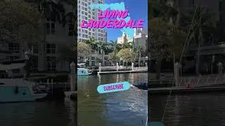 Why You Need to Subscribe to Living Lauderdale 🌴