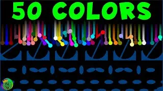 Epic 50 Colors Elimination Marble Race