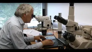 Nigel Allinson MBE on the future of X-ray Crystallography and Powder Diffraction