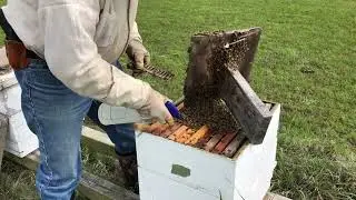 Scion Swarm catch #4...& more bumbles-n-fumbles.