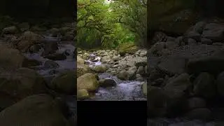30 seconds of relaxing while photographing a river in New Zealand