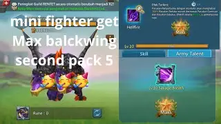 max Blackwing | pack 5 kedua di akun mini fighter 🥳