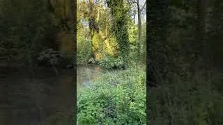 776 Jahre Ochsenwerder. Gedenkstein.