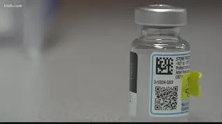 How the vaccine rollout will look like if children ages 5-11 become eligible